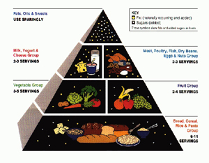 Healthy+food+plate+worksheet