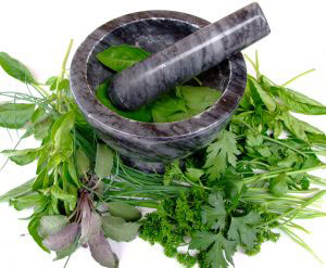 herbs