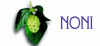 Noni