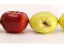 Know Your Apple Types