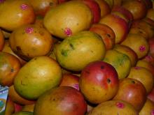 Mango Salsa Photo
