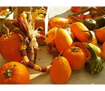 Squash and Pumpkin