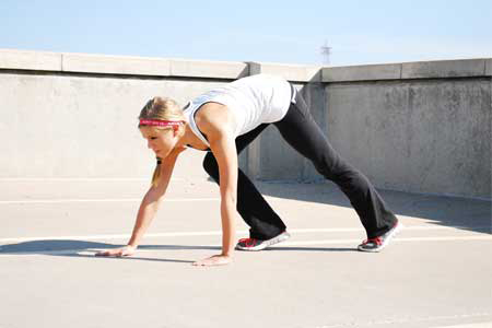 Bear Crawls