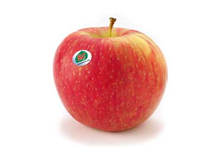 Honeycrisp Apple
