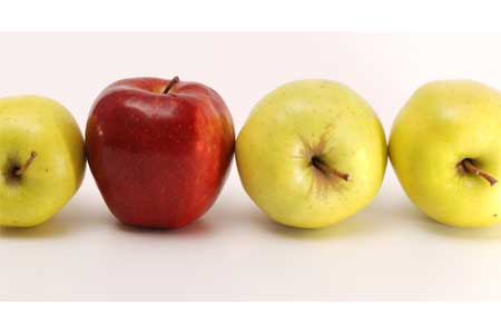 A Perfect Fall Fruit