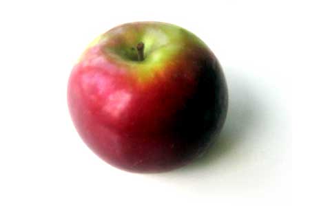 McIntosh Apple