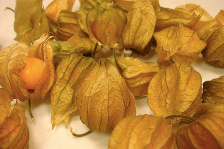 Goldenberries