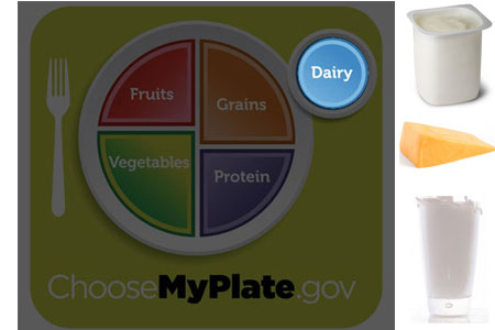 MyPlate Dairy