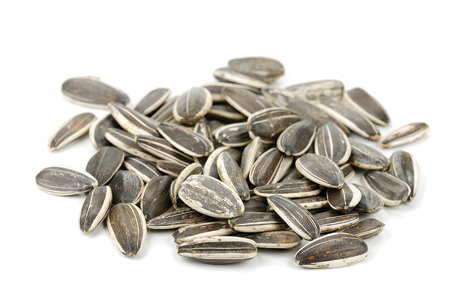 Sunflower Seeds
