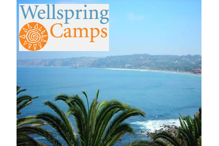 Wellspring Camps