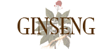 Ginseng