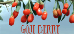 Goji Berry