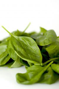 fresh spinach