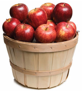 apple bushel