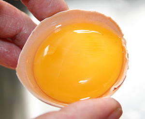 Eggs Recalled