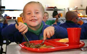 Little boy eating a school lunch