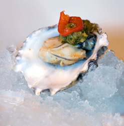 raw oyster on ice