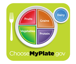 MyPlate Plate Icon
