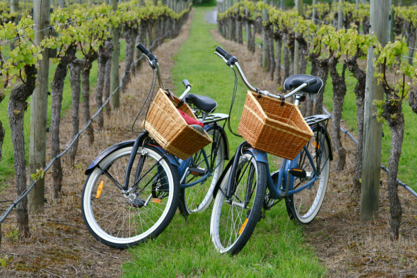 wine bikes