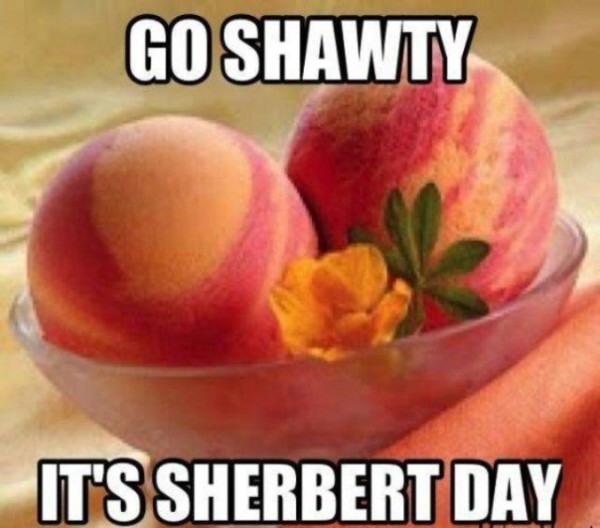 sherbert day