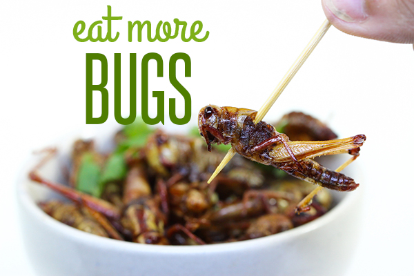 eat-crickets
