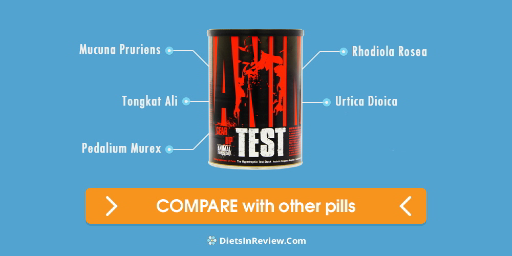 Animal Test Review: Don't Buy Before You Read This!