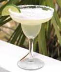 Low Carb Margarita Photo