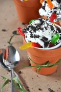 Healthified Dirt n'Worms Sundae Photo