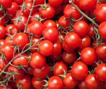 4 Cups Cherry or Grape Tomatoes