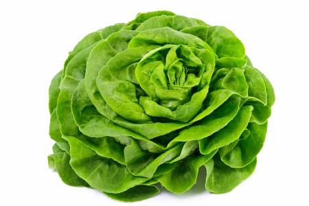 Lettuce