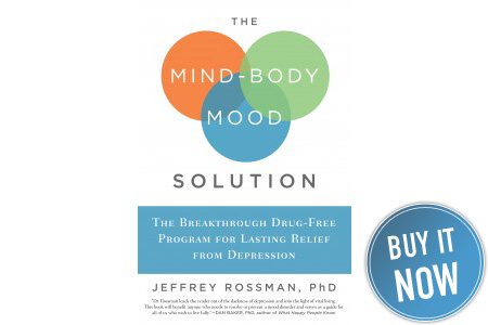 The Mind Body Mood Solution