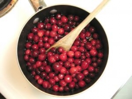 Simple Mashed Cranberries Photo