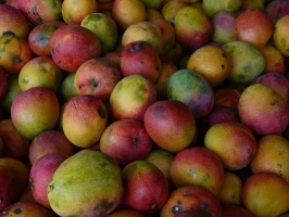 Honeyed Mangoes Photo