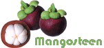 Mangosteen